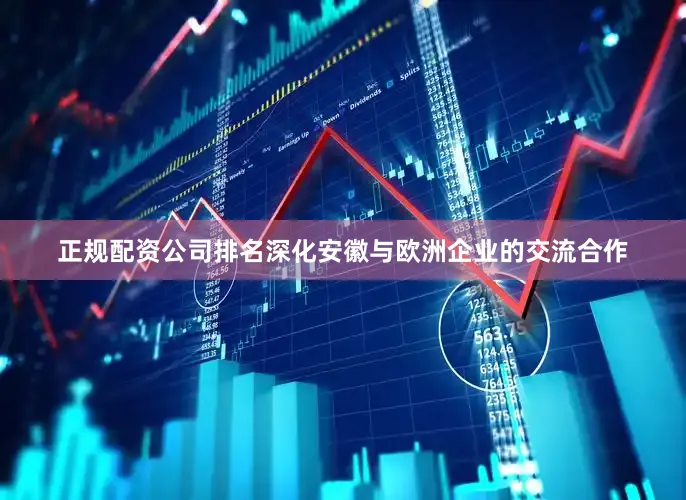 正规配资公司排名深化安徽与欧洲企业的交流合作