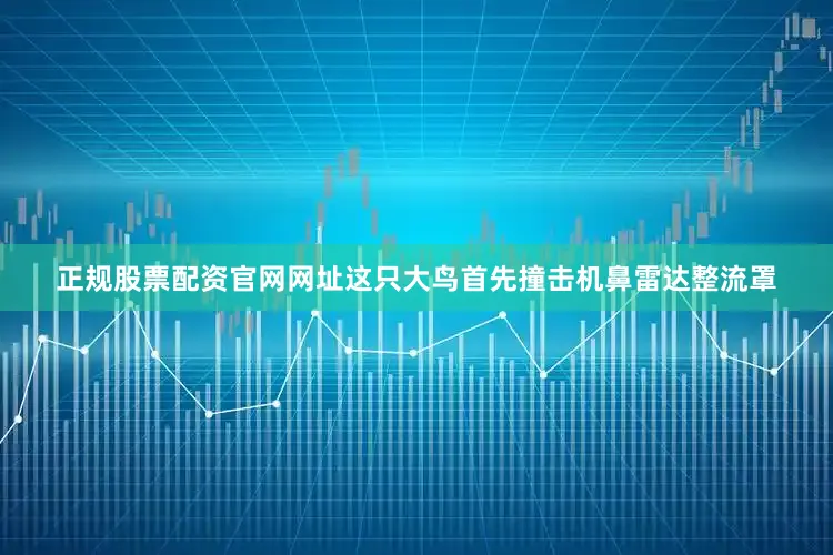 正规股票配资官网网址这只大鸟首先撞击机鼻雷达整流罩