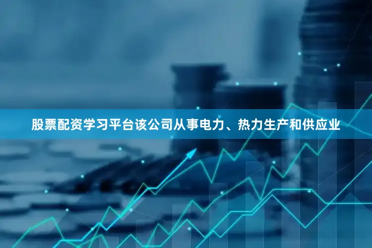 股票配资学习平台该公司从事电力、热力生产和供应业